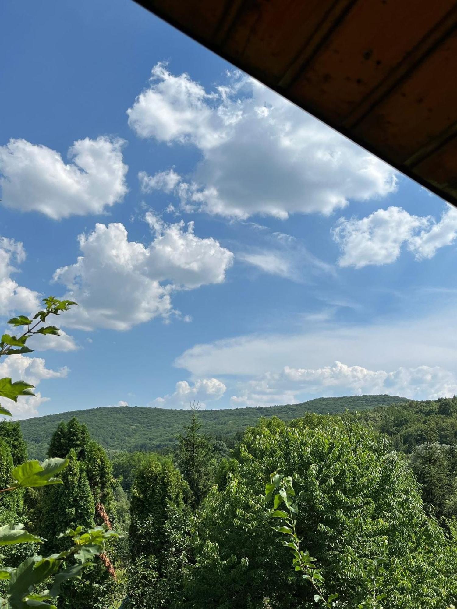 Maxx Lodge Bacău Eksteriør bilde